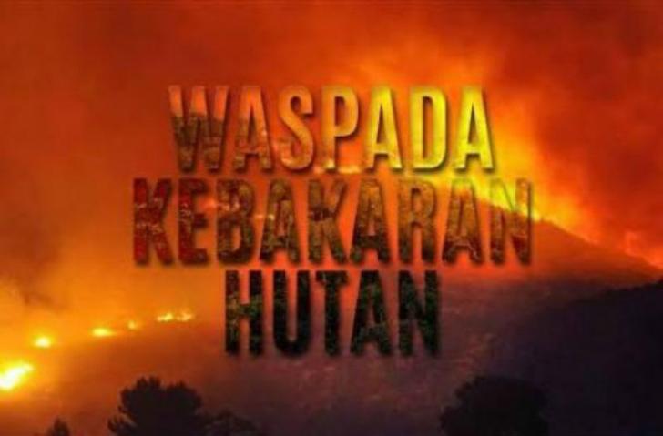 DPR RI Pertanyakan Soal SP3 15 Perusahaan di Riau