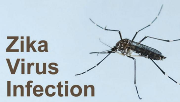 Nuzeli: Virus Zika Sulit Dideteksi