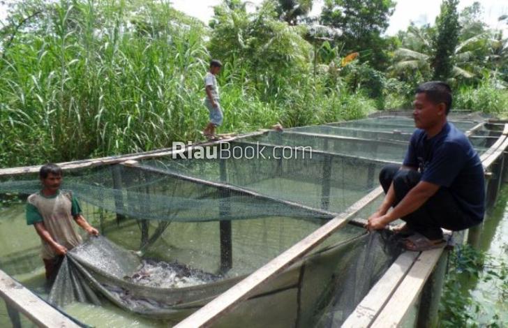Senang Sekali, Semoga Mandau jadi Sentra Perikanan