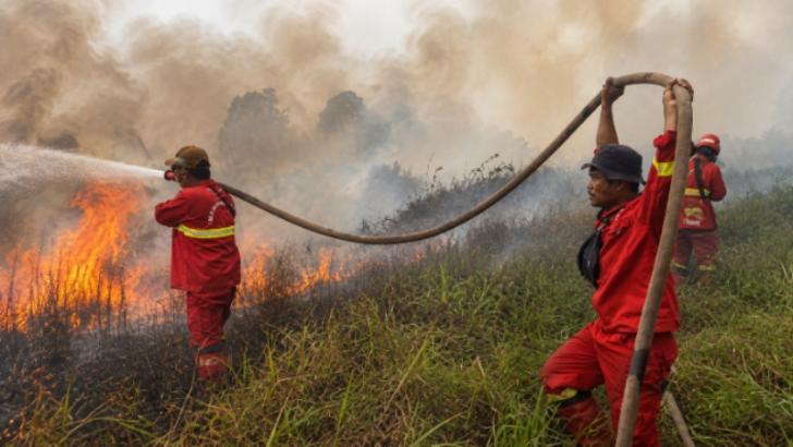Tim Manggala Agni Masih Lakukan Pemadaman Kebakaran Hutan dan Lahan