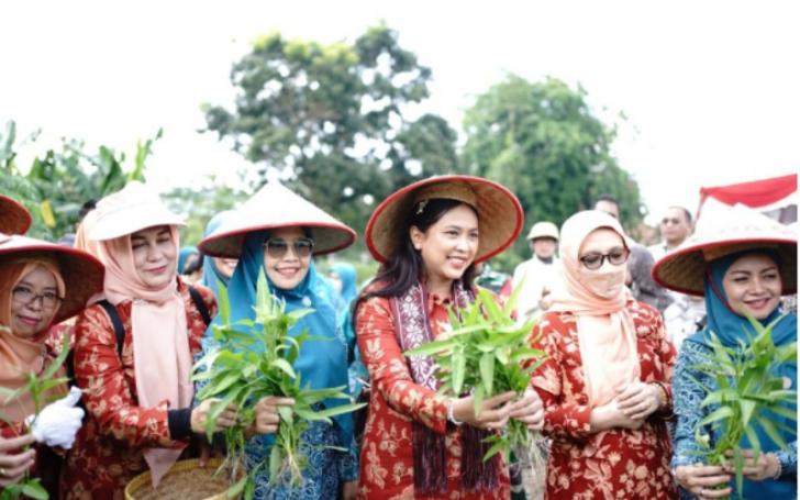 Manfaatkan Lahan Pekarangan untuk Pertanian
