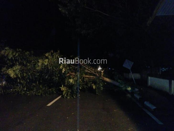 Malam Kedatangan Panglima TNI, Kota Siak Diguyur Hujan dan Angin Kencang, Sebuah Pohon Tumbang