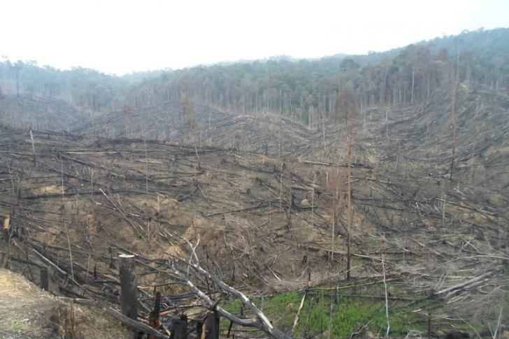 SP3 15 Perusahaan di Riau, Komisi III DPR Minta Penjelasan Kapolri