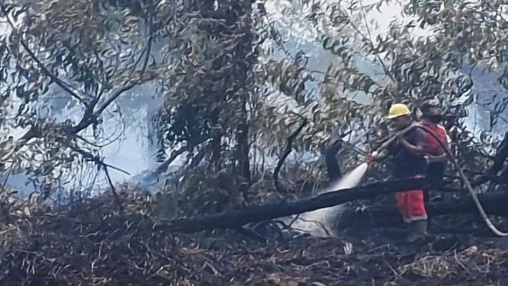 Luas Lahan yang Terbakar Mencapai 18.770 Hektar di Riau