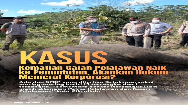 Kasus Kematian Gajah Pelalawan Naik ke Penuntutan, Akankan Hukum Menjerat Korporasi?