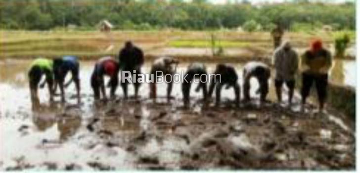 Mengenal Tradisi Potong Ayam Tiga Warna di Rokan Hulu
