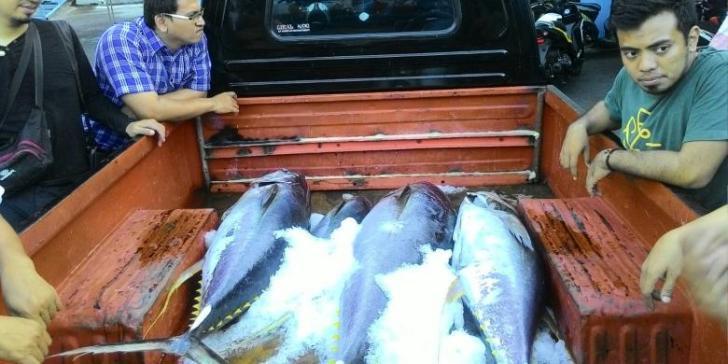 Hebat, Produksi Ikan Indonesia Naik Tajam