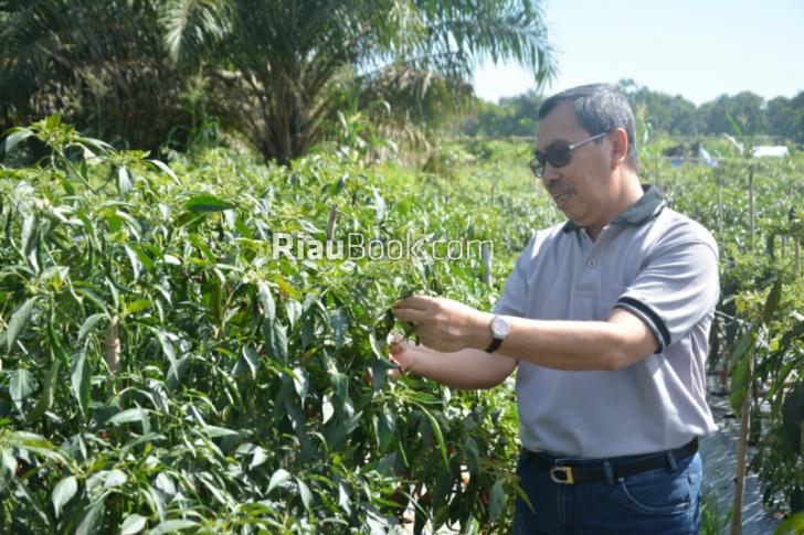 Syamsuar: Ekonomi Melemah, Pertanian Harus Digalakan