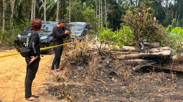 Bakar Ranting Kayu, Lahan Seluas 1,5 Hektar di Inhu Terbakar