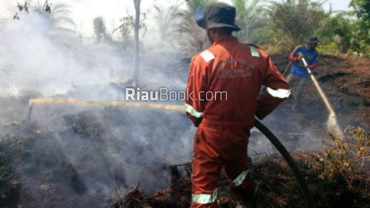 Hutan Riau Terbakar, Anggota DPRD 'Berbondong-bondong' ke Yogyakarta