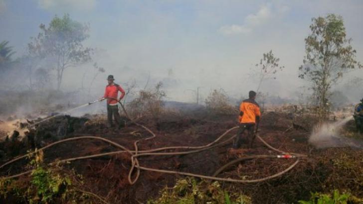 Kisah Heroik MPA Tanjung Leban, Padamkan Kebakaran Tanpa Gaji