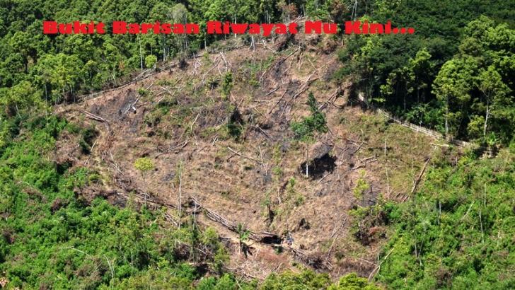 Pemerhati: Bukit Barisan telah 'Tercabik-cabik', Giam Siak Kecil Kian Gundul