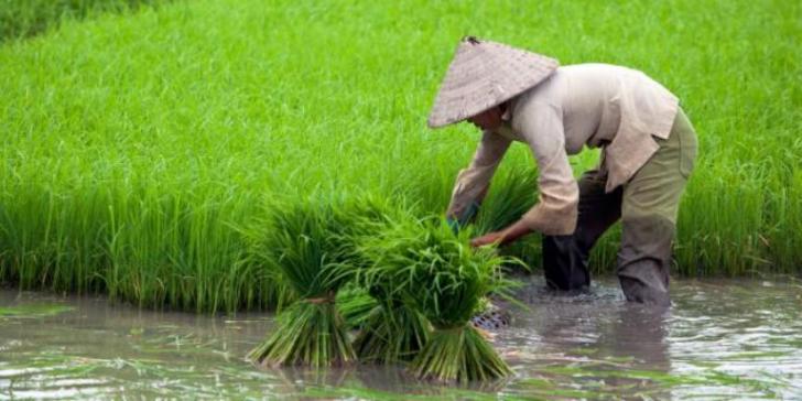 Wah, 139 Desa di Rohul Dapat Bantuan dari Provinsi Riau