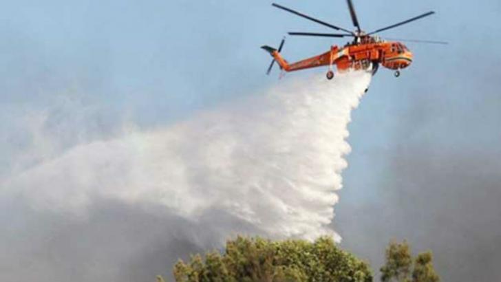 Gara-gara Seekor Ular, Helikopter Mendarat Darurat di Rohil