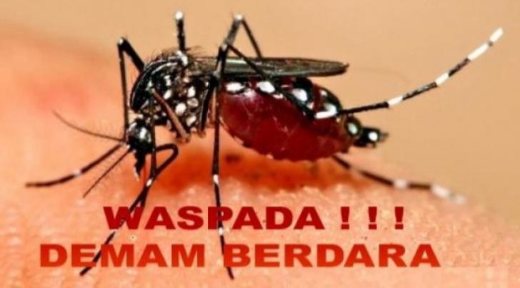 Selain Ispa, Warga Bengkalis juga Diserang Demam Berdarah