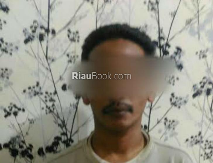 Cabuli Anak Tiri, Seorang Ayah di Inhu Diciduk Polisi