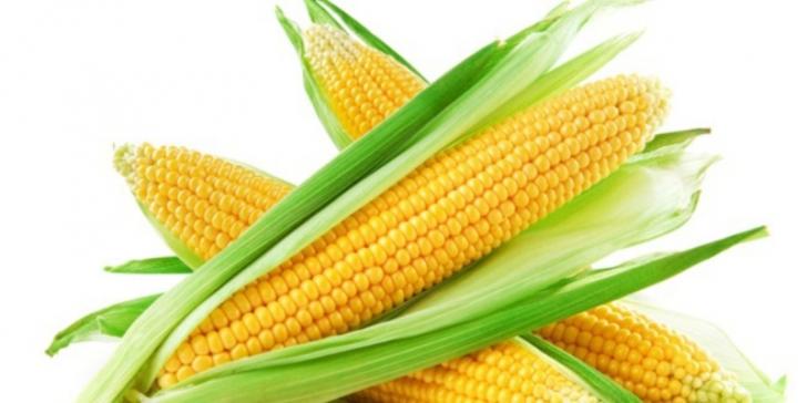 Makanan Ini Membuat Sering Kentut karena Memproduksi Gas Berlebih