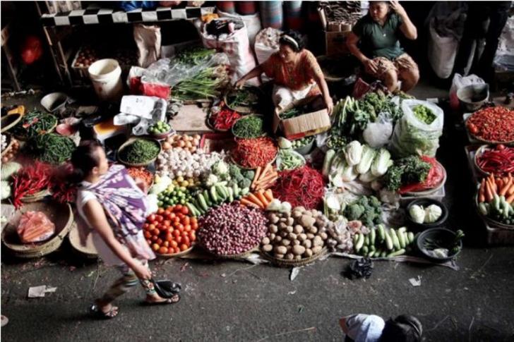 Awas Spekulan di Riau