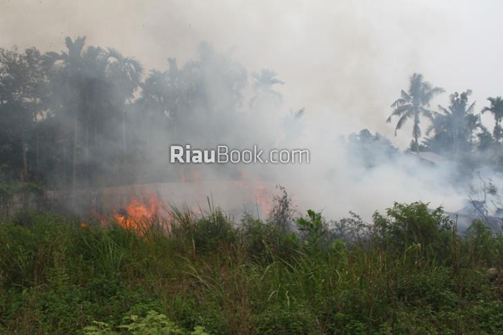 Waduh, Lahan Terbakar di Rohil Akan Bertatus Quo