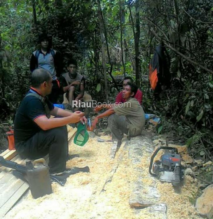 Kasus Illegal Logging di Siak Terungkap, Polisi Amankan Tiga Pelakunya