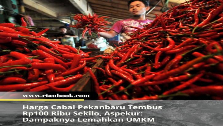 Harga Cabai Pekanbaru Tembus Rp100 Ribu Sekilo, Aspekur: Dampaknya Lemahkan UMKM