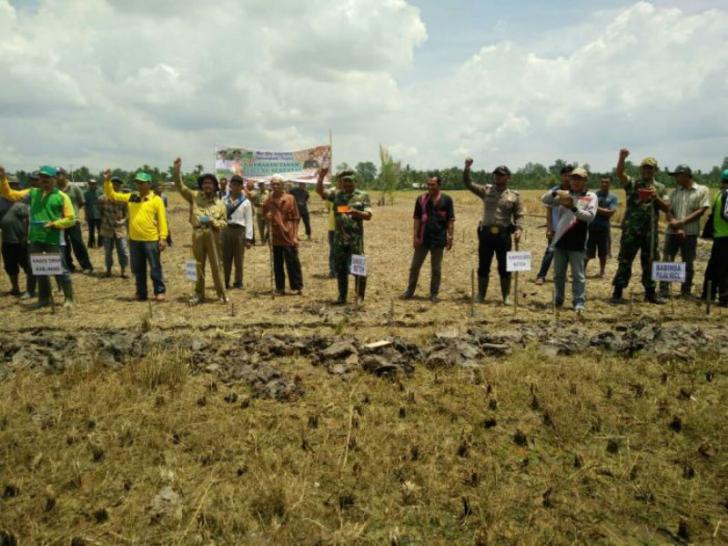 Penanaman Jagung Serentak di Reteh, Kuswari : Peningkatan Swasembada Pangan