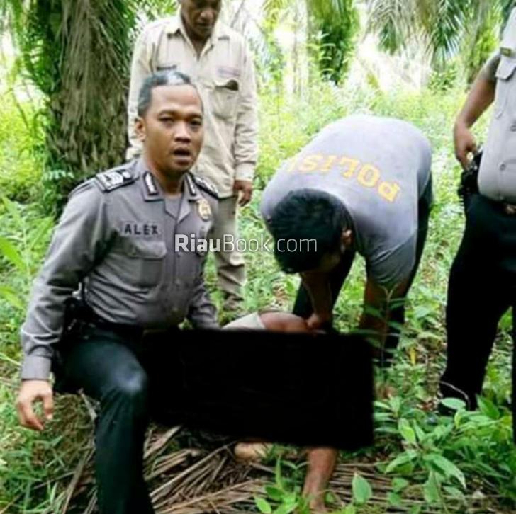 Kronologi Penangkapan Pelaku Pembunuhan Sadis di Inhu