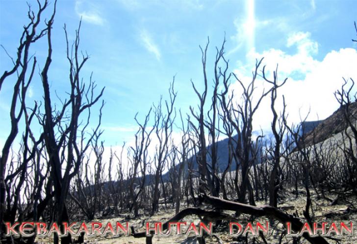 Tiga Indikator Penyebab Karlahut di Riau Acap Terulang