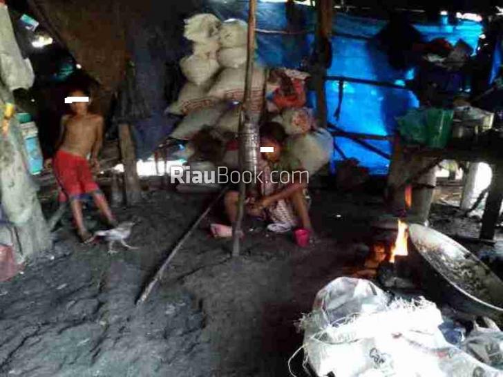 Masih Ada Warga Tinggal di Gubuk Berdinding Terpal di Rohil, Sengsara Tanpa Bantuan