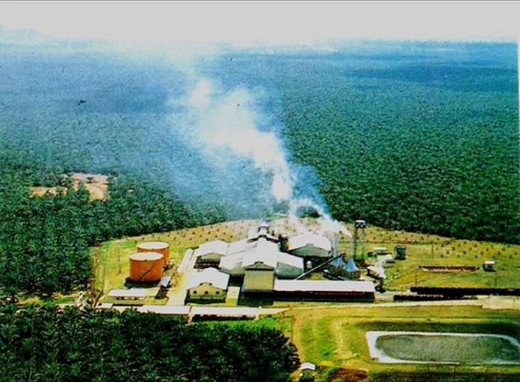Perusahaan ini Tak Berizin Nekat Kelola Lahan Pelalawan, Mabes Polri 'Mencium'