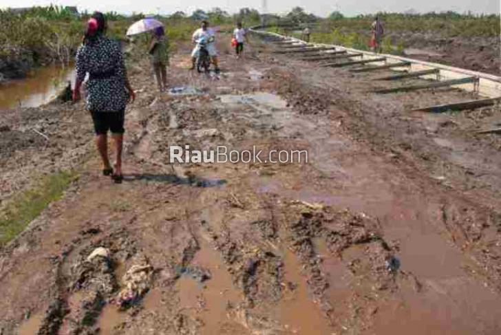 Dari Dulu Sampai Sekarang, Jalan-jalan di Pasir Limau Kapas Tak Pernah Mulus
