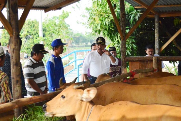 Guru Mau Naik Haji? Juga Harus Bertani di Kampar