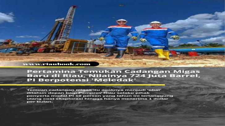 Pertamina Temukan Cadangan Migas Baru di Riau, Nilainya 724 Juta Barrel, PI Berpotensi 'Meledak'