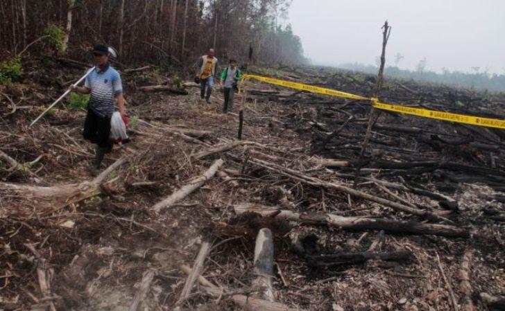 Kasus Perusahaan Pembakar Lahan Dihentikan, Jikalahari: Ucapan Selamat Datang Tidak Baik Bagi Kapolda Riau