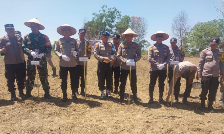 Polsek Kandis Gelar Peletakan Batu Pertama Rumah Layak Huni, Cek Bank Pohon, dan Tanam Jagung Pipil 2 Hektare