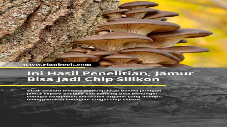 Ini Hasil Penelitian, Jamur Bisa Jadi Chip Silikon