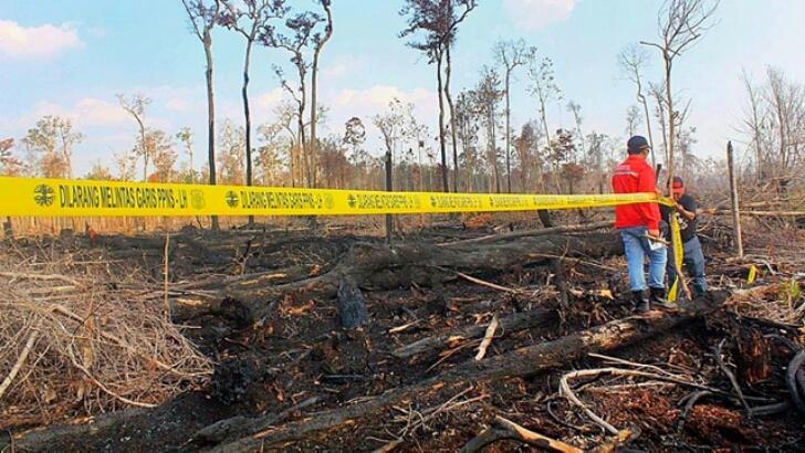 Kasus Kebakaran Hutan, di Pengadilan Pemerintah Keok Lawan Perusahaan