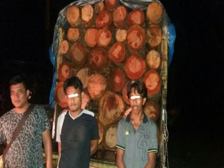 Polres Siak Amankan Truk Muatan Kayu Tanpa Dokumen
