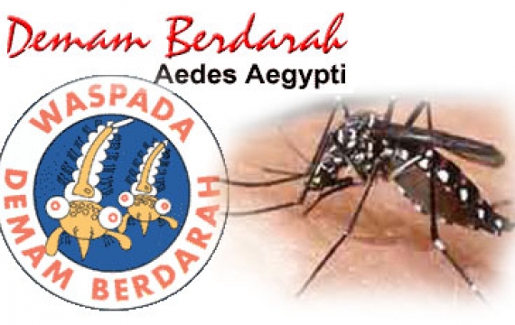 Sampaikan ke Teman, Ini Cara Hindari Demam Berdarah