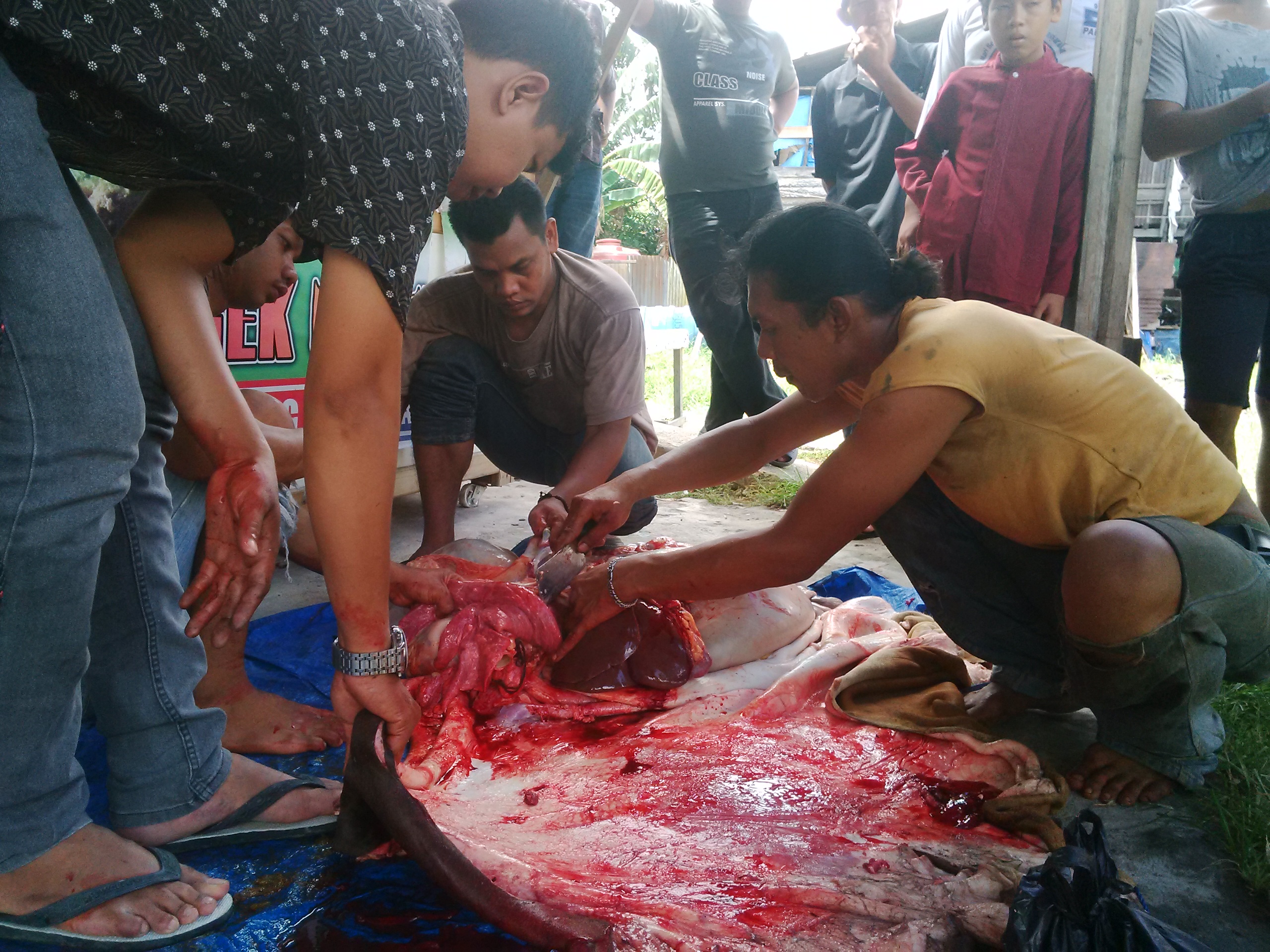 Akibat Kurang Air Bersih, Panitia Kurban di Dumai Bawa Daging ke Pinggir Sungai