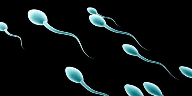 Anda Merasa Jantan? Ditantang Donorkan Sperma