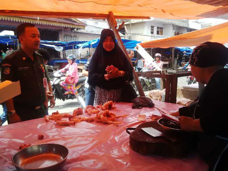 Aneh, BBM Turun, Pakan Stabil, Harga Ayam Potong di Riau Naik Rp2 Ribuan