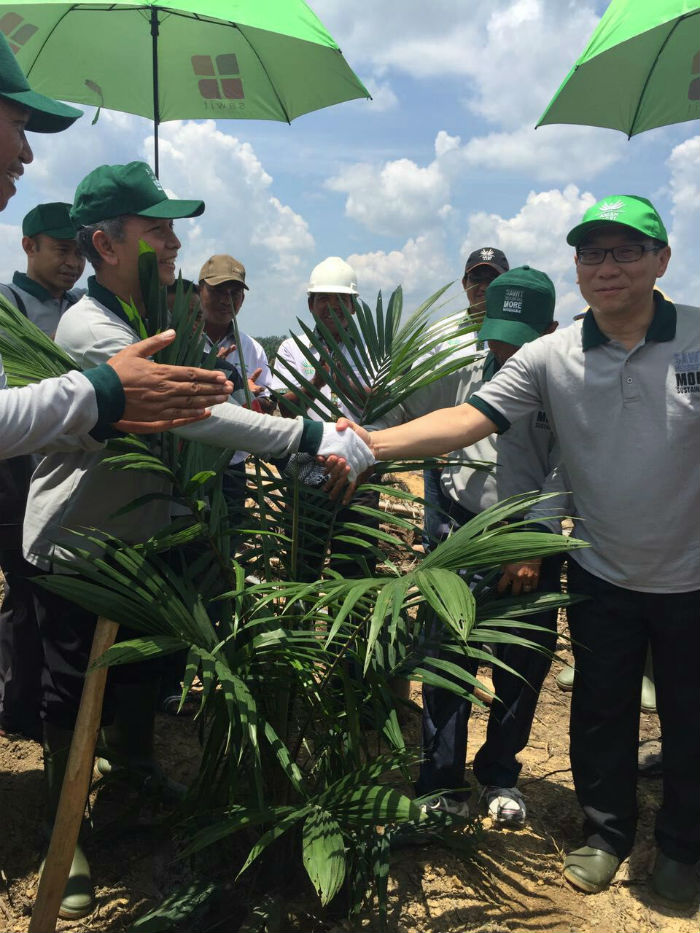 Bantuan Dana Replanting Kelapa Sawit di Riau, Rp6,35 Miliar