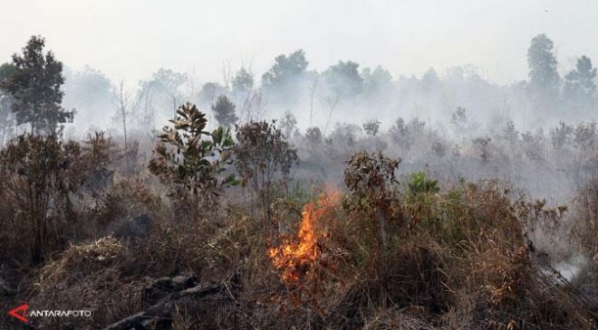 BNPB Gelontorkan Rp 40 Miliar