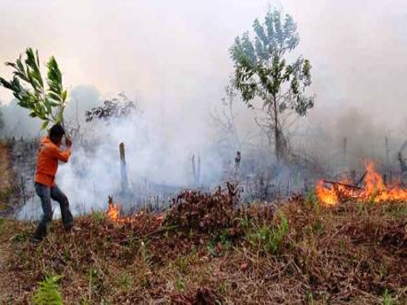 BPBD Dumai Keluhkan Minim Peralatan Atasi Kebakaran Lahan di 22 Kelurahan