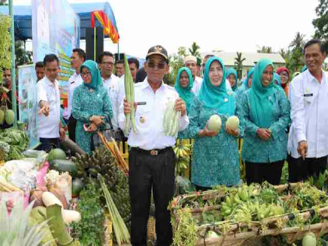 Bulan Bhakti PKK KB Kesehatan Tingkat Kabupaten Pelalawan Dihadiri Bupati