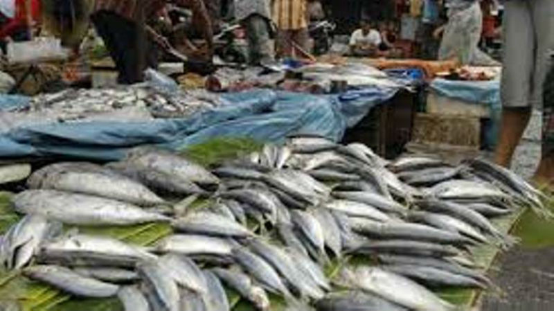 Bupati Kepulauan Meranti Ingatkan Pedagang dan Warga Mewaspadai Ikan Berformalin