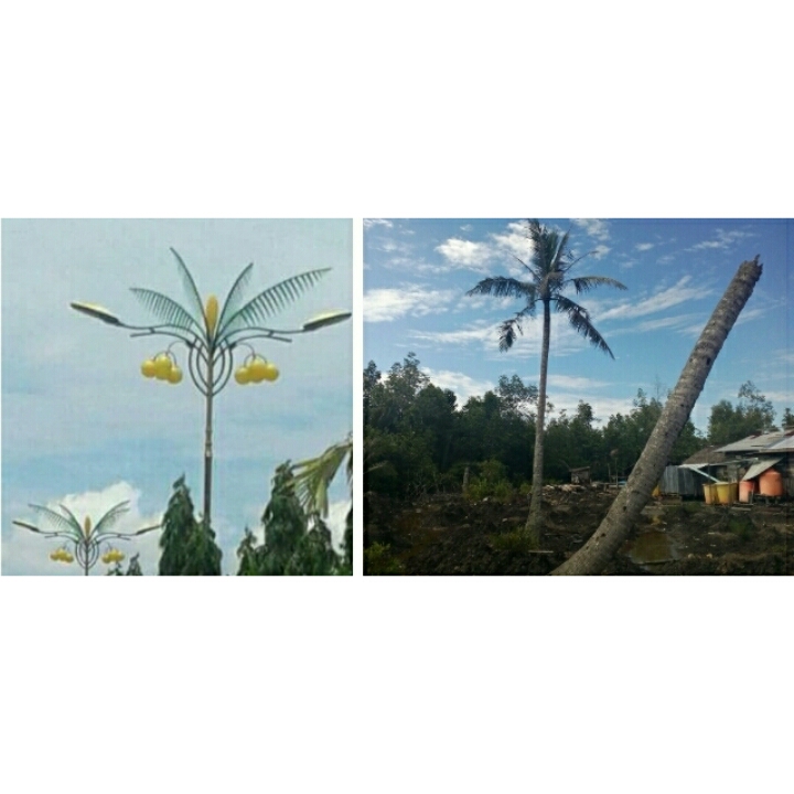 Dewan Inhil : Semangat Penyelamatan Kebun Kelapa Tidak Se-Semangat Ornamen PJU