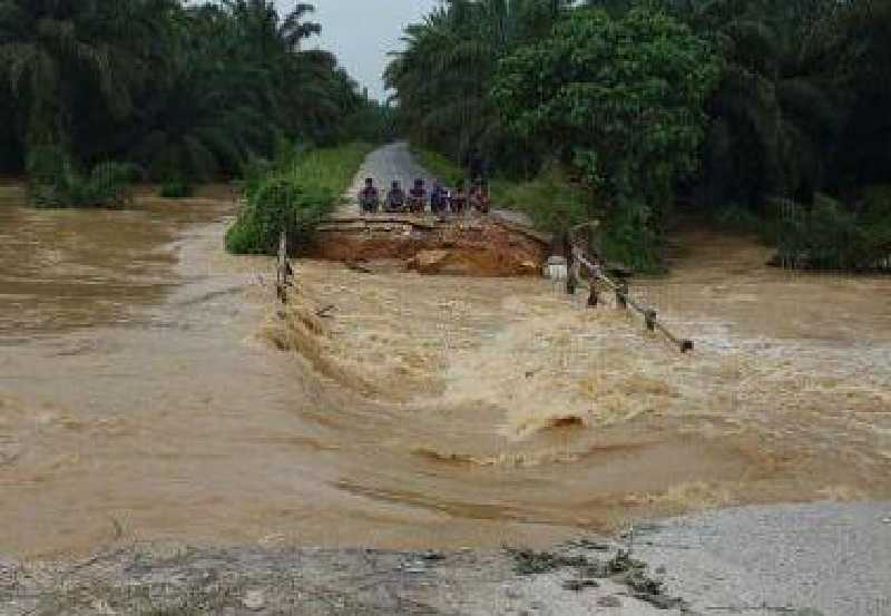 Dua Jembatan Putus, Petani Sawit Menjerit, Sahrul: Pemkab Rohul seperti Tutup Mata