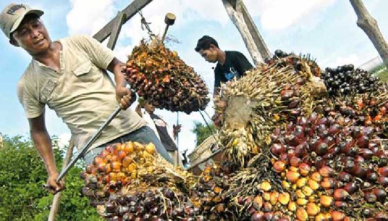 Dumai Implementasi ISO 9001, Jangan Sampai Jadi Penonton di Negeri Sendiri